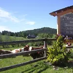 Ferienhaus Riegler Sankt Georgen bei Neumarkt