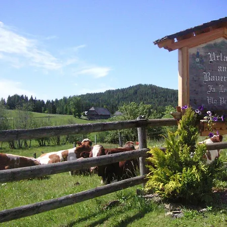 Ferienhaus Riegler Sankt Georgen bei Neumarkt
