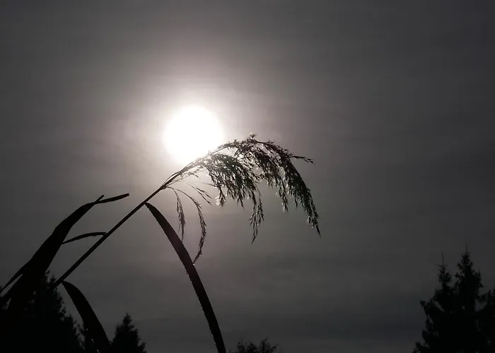 بيت للعطل Riegler Sankt Georgen bei Neumarkt