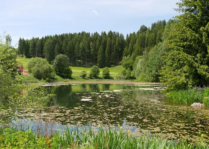 بيت للعطل Riegler *