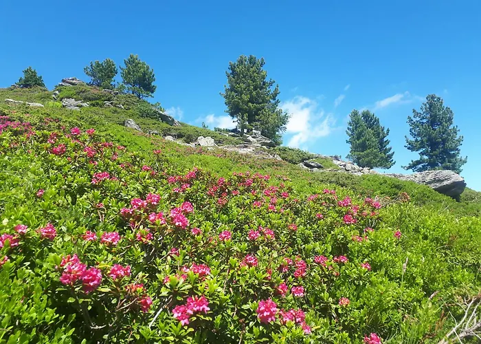 Riegler بيت للعطل Sankt Georgen bei Neumarkt