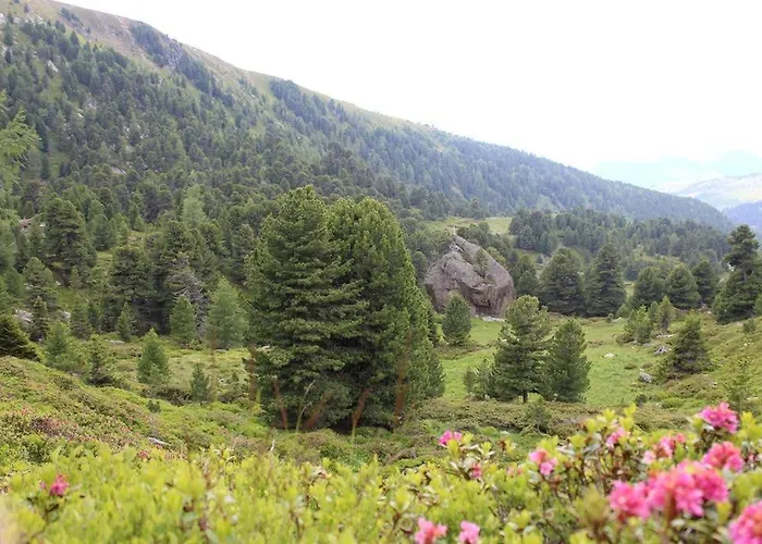 Riegler بيت للعطل *