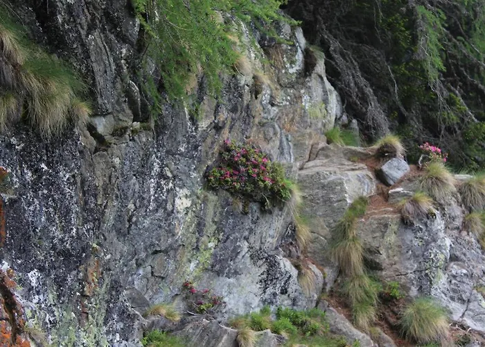 بيت للعطل Riegler Sankt Georgen bei Neumarkt